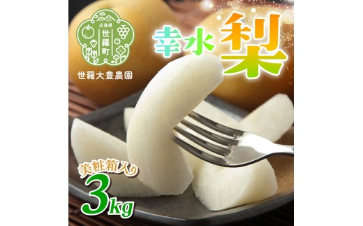幸水梨 3kg（美粧箱入）【先行予約・数量限定】世羅 大豊農園 幸水 梨 せら なし フルーツ 果物 くだもの 産地直送 新鮮 贈答 進物【2026年8月下旬以降順次発送】A019-02