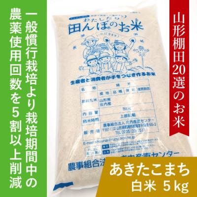 ふるさと納税 鶴岡市 令和7年鶴岡産 あきたこまち 白米 5kg【山形棚田20選のお米】