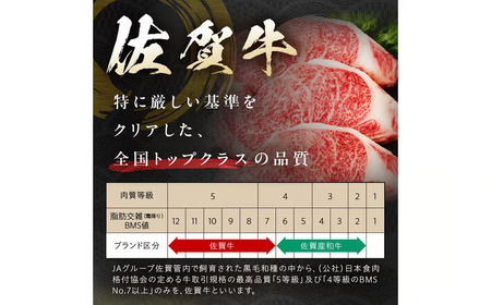 【ふるなびWEEK対象】ハンバーグ 5個 佐賀牛ハンバーグ 212-J1994 FN-Limited-WE