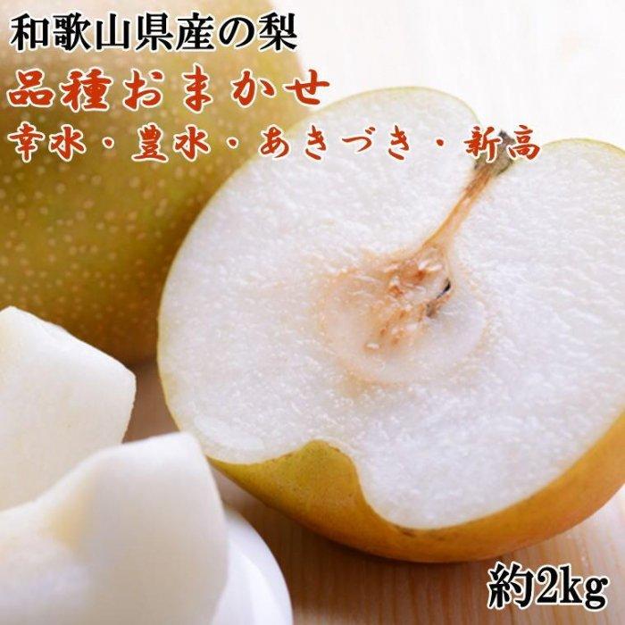 【ふるさと納税】和歌山県産の梨 約2kg(品種おまかせ)［2027年8月中旬～2027年9月中旬頃に順次発送予定］［TM181］ | 楽天ふるさと 納税 和歌山県 和歌山 上富田町 梨 なし ナシ 果物 フルーツ くだもの 果実 お取り寄せ 取り寄せ 食べ物 食品 グルメ 食材 ご当地 特産品