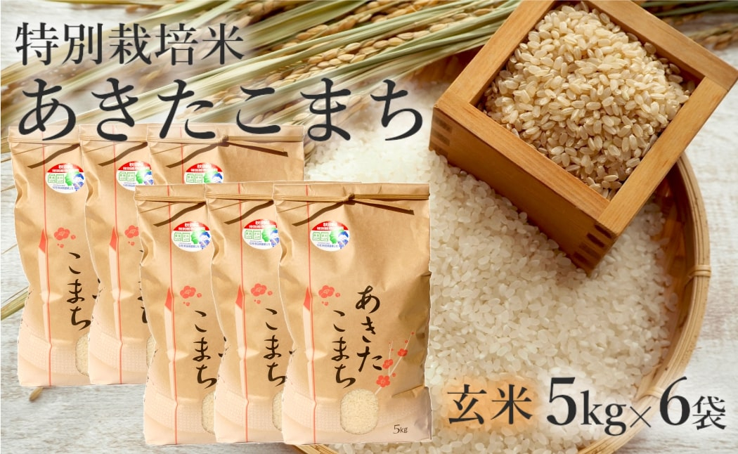 
                  玄米 あきたこまち 30kg (5kg×6袋) 令和7年産 米 こめ お米 おこめ 令和7年 特別栽培米 産地直送 ご飯 ごはん 秋田こまち 秋田 秋田県 能代市 特別栽培 減農薬
                