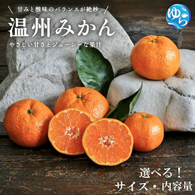 【ふるさと納税】温州みかん お選びください 5kg 10kg 秀優品 (サイズ混合) 小玉 大玉 / 温州 みかん 柑橘 中生 和歌山 由良町 甘い 農家直送 ※2026年11月中旬から12月下旬頃に順次発送
