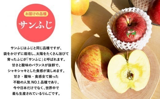 2027年4月発送　贈答用葉とらずサンふじ10kg【青森県 平川市 そと川りんご園】