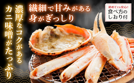 ≪浜茹で≫越前がに 中サイズ（生で900g以上）× 2杯 合計1.8kg以上 【1月発送分】食べ方しおり付【雄 ズワイガニ かに カニ 蟹 越前ガニ 姿 ボイル 冷蔵 福井県】希望日指定可 備考欄に希