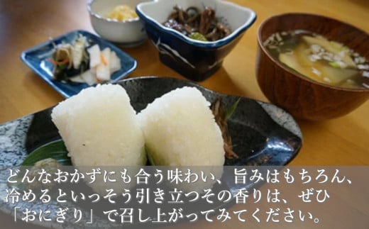 【6回定期便】 魚沼産コシヒカリ定期便 5kg2袋×6回／隔月 令和7年産 白米 共栄農工社【0002-KY07DB00-01】