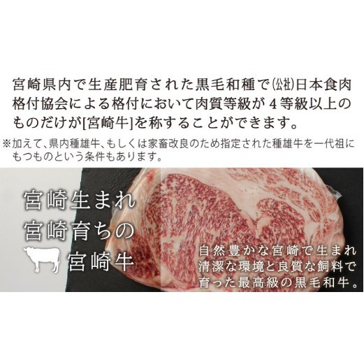 【宮崎牛】 サーロイン ブロック 500g [SHINGAKI 宮崎県 美郷町 31ag0056] 黒毛 和牛 ステーキ 国産 宮崎 A4 A5等級 牛肉 焼肉 宮崎県産 冷凍 送料無料 ブランド 牛