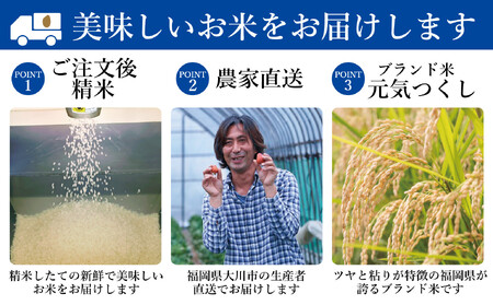 【先行予約】【2025年11月より順次発送】《令和７年産 》福岡県産 ブランド 米「 元気つくし 」 5kg×2個　計10kg