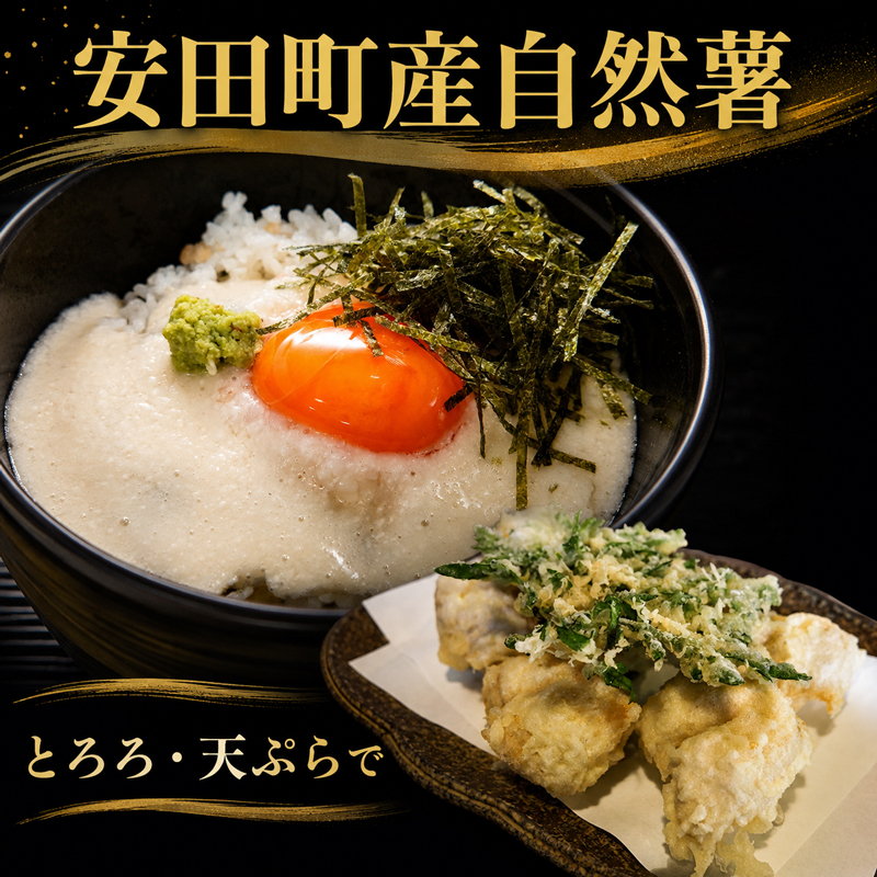 安田町産 中山 自然薯とろろん1番(すりおろし)6袋 とろろ 冷凍 小分け 自然薯 すりおろし 200g 6袋 そば うどん ラーメン そうめん 簡単調理 野菜 やさい 山芋 やまいも ふるさと納税野