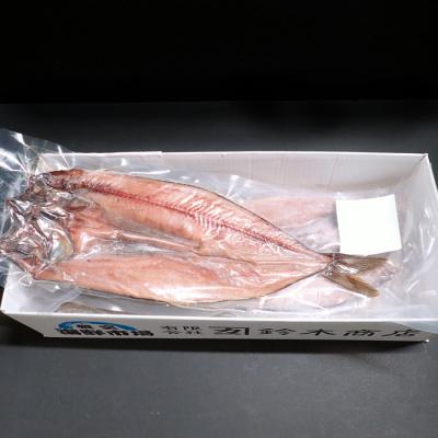 ふるさと納税 根室市 ＜12/10まで年内配送＞開き縞ほっけ一夜干し2枚 G-14055 |  | 02