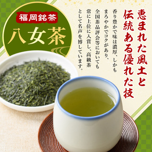 福岡銘茶八女茶 特選セット(5種・合計550g) 福岡 八女茶 茶 緑茶 日本茶 特上煎茶 深むし茶 煎茶 抹茶 粉末 粉末抹茶 粉末八女茶 飲み比べ 中島製茶本舗 家庭用 普段使い 個包装 贈り物