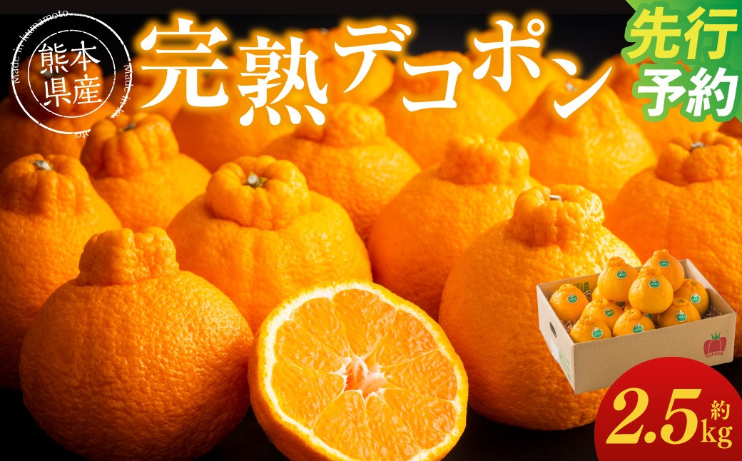 
                  ＜ R8年熊本地震復興支援 ＞熊本県産 完熟 デコポン 計2.5kg（10～12玉） 果物 くだもの フルーツ 蜜柑 ミカン 柑橘 【2027年3月上旬～4月上旬発送予定】
                