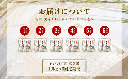 【令和7年度】【6回定期便】 限定品 えびの産 ヒノヒカリ 真幸米(まさきまい) 10kg×6ヶ月 米 ひのひかり お米 精米 白米 宮崎県産 九州産 送料無料 こめ おにぎり お弁当