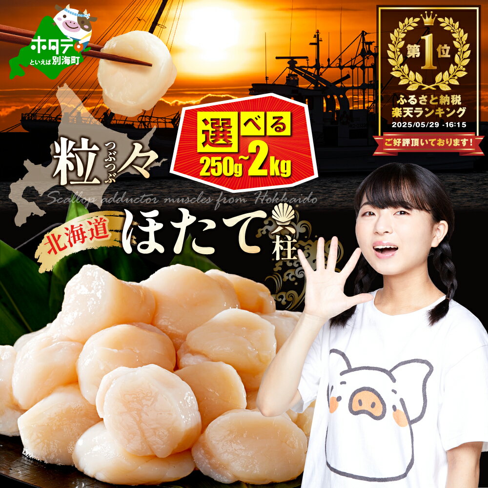 【ふるさと納税】高評価★4.8 ホタテ貝柱 250g～2kg 【内容量が選べる】【 発送時期が選べる 】（ ふるさと納税 ホタテ 訳あり 帆立 ホタテ貝柱 ふるさと納税 訳あり ふるさと 刺身 冷凍 ほたて ホタテ 帆立 人気 ランキング 貝柱 貝 魚介 北海道 別海町 ）