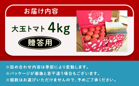 【先行予約】大玉トマト(贈答用) 4kg 産地直送 とまと トマト【7月より順次発送】 恵那市 / クリエイティブファーマーズ[AUAH013]