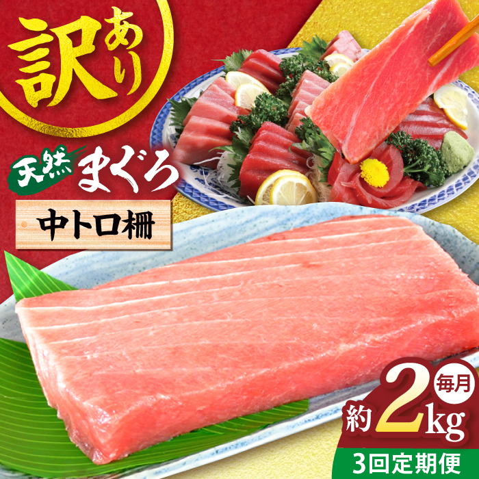 【全3回定期便】【訳あり】天然 まぐろ 中トロ（約2kg）【横須賀商工会議所 おもてなしギフト事務局（本まぐろ直売所）】 [AKAK053]