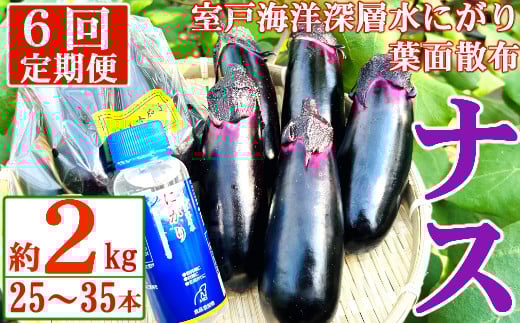 
            【定期便6回発送】農家直送　土佐の美味茄子の新鮮ナス　２kg　（室戸海洋深層水にがり使用） 野菜 なす ナス 常温 小袋 国産 夏野菜 茄子 小分け 旬 42000円 高知 頒布会
          