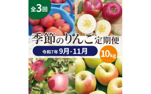 ＜発送月固定定期便＞青森りんご 訳あり 品種おまかせ 10kg 9月～11月全3回【4067592】