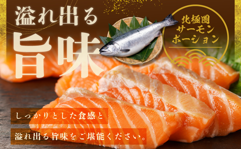 泉佐野セレクト 海鮮定期便 全4回 サーモン 天然まぐろ かつお 真鯛【毎月配送コース】 099Z161_イメージ2