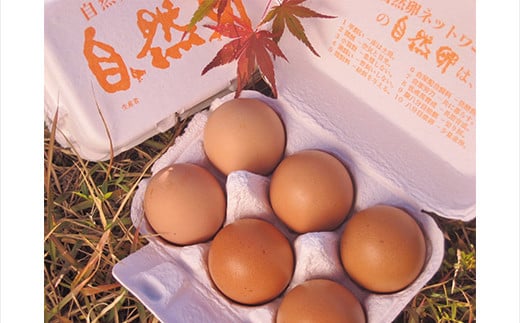 平飼い卵 とれたて発送「御幸卵（ごこうらん）」36玉入り 伊達市 福島県 国産 養鶏場直送 卵 たまご 玉子 生卵 鶏卵  　　 ゆで卵 たまご焼き 目玉焼き 朝食 タマゴ 食品 F20C-619