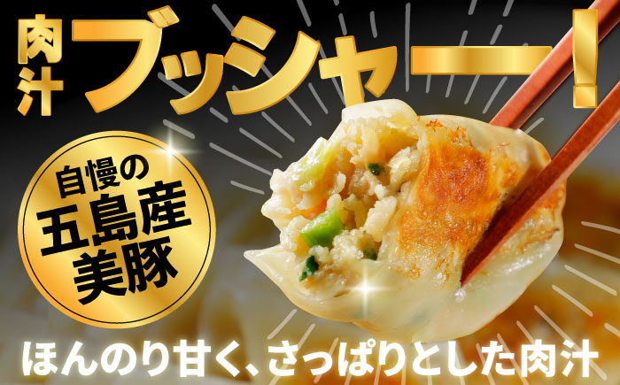 【全3回定期便】美豚餃子15個入×5袋セット 五島市/長崎フードサービス  [PEL006]