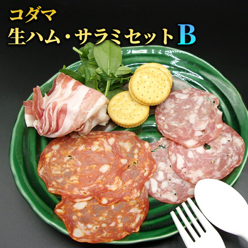 【ふるさと納税】生ハム コダマ生ハム・サラミセットB サラミ 国産 山形豚 豚肉 バラ セット パンチェッタスライス サラミナポリ風スライス サラミピカンテ風スライス 熟成 大田区 東京都