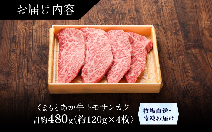 菊陽町 あかうし 熊本県 肉 にく niku ブランド 旨み くまもとあか牛 和牛 阿蘇 自然 自社牧場 直接 最高 上質 牛 
