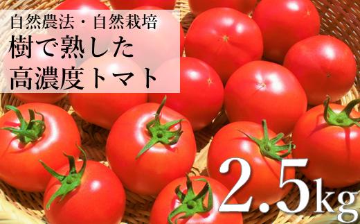 
自然農法 樹で熟した 高濃度 大玉 トマト 2.5kg 約 21玉 前後 栽培期間中 農薬不使用 農家 朝採り 直送 遠野もぐもぐカントリー
