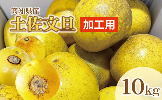 【訳あり】土佐文旦（ぶんたん）加工用（M～５Ｌ混合）約１０ｋｇ【株式会社とさもん（土佐市）厳選】 文旦 10キロ 約16～30玉 ぶんたん ブンタン 柑橘 果物 フルーツ お取り寄せ おいしい