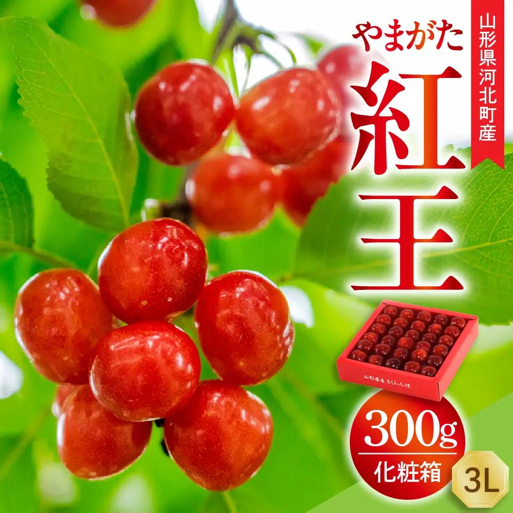 令和9年産 さくらんぼ やまがた紅王 300g 3L玉 特秀品 さくらんぼ