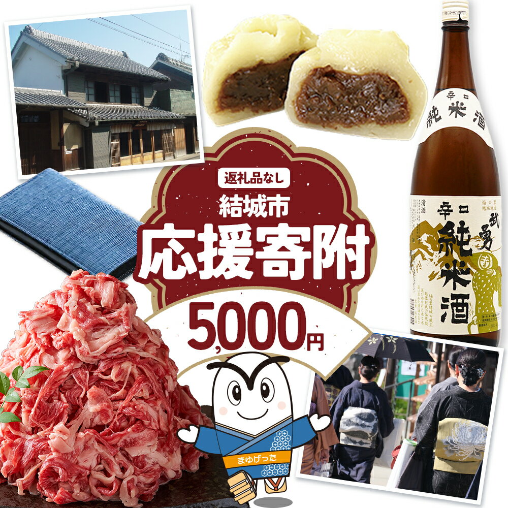 【ふるさと納税】【返礼品なし】茨城県 結城市 応援寄附 1口 5000円