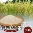 【ふるさと納税】米 かおりもち米 500g 自家生産 栽培期間中 農薬 不使用 自社生産 精米 食品 食べ物 お餅 お雑煮 おこわ だんご おはぎ 餅つき 赤飯 ちまき 炊き込みご飯 瀧本農産 お取り寄せ 宮崎県 延岡市 送料無料