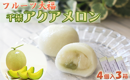 【高橋メロン農園】フルーツ大福～千葉アクアメロン～ 12個　 [0010-0243]