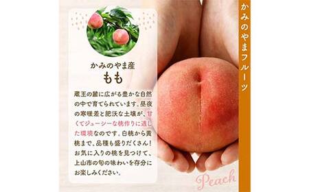 《先行予約 2026年発送》フルーツ王国直送！旬の桃 秀 約2kg FSY-2528