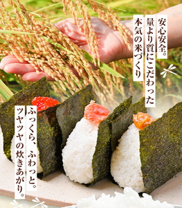 【5ヶ月定期便】令和7年産 七城のこめ 精米 5kg×2袋/月×5回 計50kg ヒノヒカリ ひのひかり 有限会社七城町特産品センター 《お申し込み月の翌月から出荷開始》 熊本県 菊池市 定期便 お米