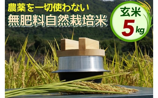 米 令和6年産 自然栽培米 にこまる ＜農薬を一切使わない無肥料栽培＞ 玄米 5kg 《新米 京都丹波産 無農薬米栽培向き 厳選品種》 ※2024年10月中旬頃より順次発送予定