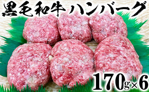 
            黒毛和牛 ハンバーグ（170g×6）【ニード牧場】 お楽しみ 豊後牛 牛肉 お肉 人気 冷凍 国産 スピード ＜129-002_5＞
          