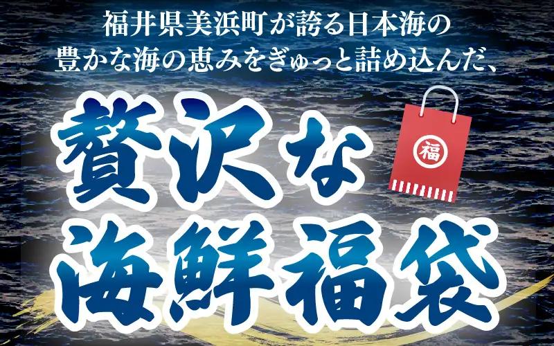 海鮮福袋 満喫セット 5種（カニ エビ イカ サバ ハマチ）【海鮮 絶品】 [m17-d010]