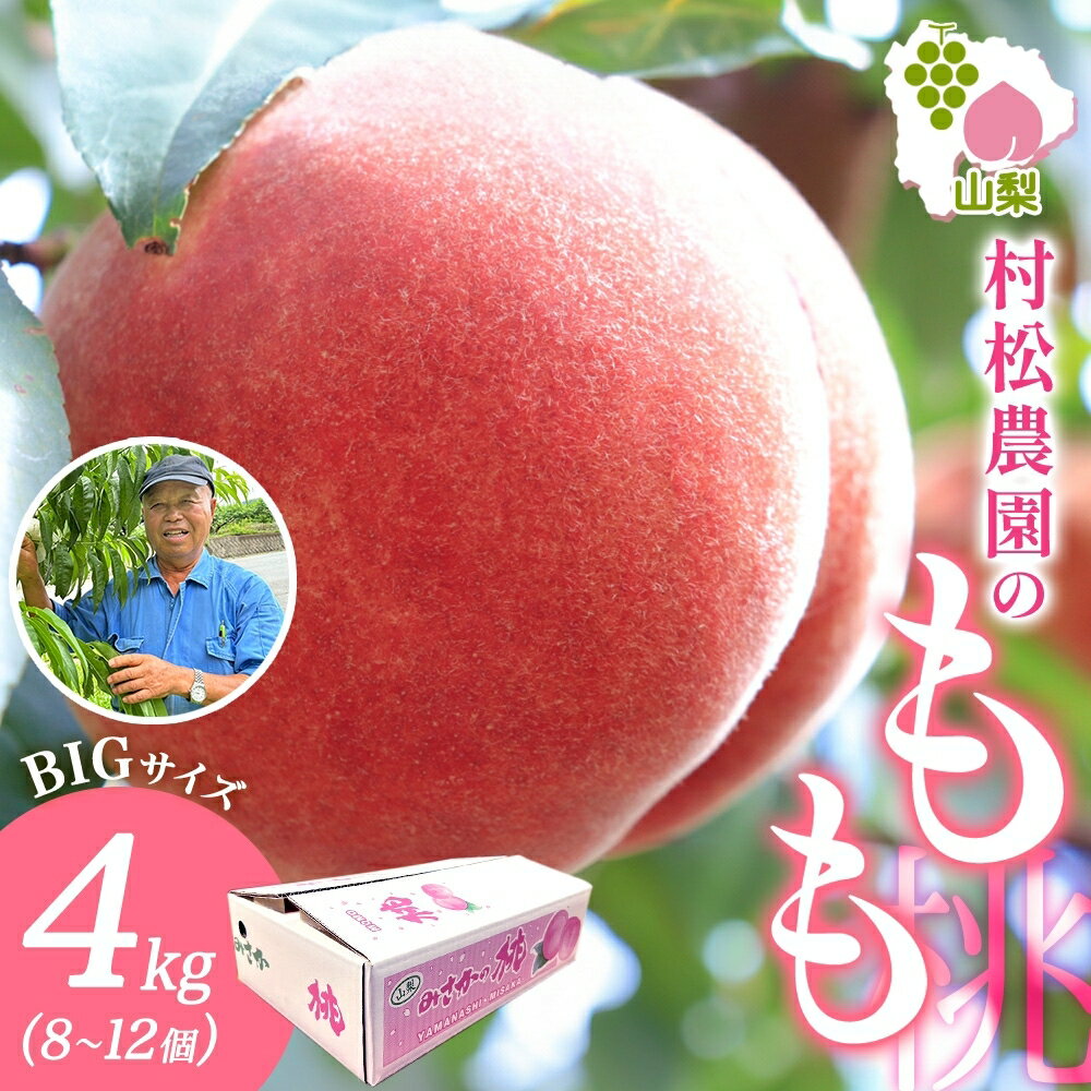 【ふるさと納税】＜25年発送先行予約＞山梨県 笛吹市産 桃 4kg 8～12玉 もも モモ 白桃 旬 産地直送 大玉 完熟 果物 フルーツ 新鮮 人気 美味しい 贈答 ギフト お中元 村松農園 送料無料 笛吹市 177-5-004