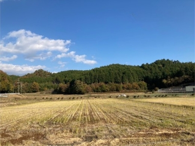 米 令和7年産 キヌヒカリ 3kg 京都丹波 白米
