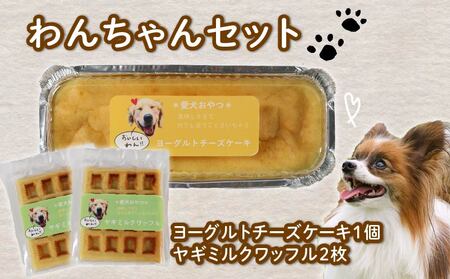 愛犬用 ワッフル 2枚 ヨーグルト チーズケーキ 1個 セット 無添加 犬用