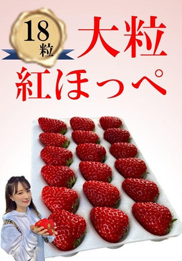 
シエルファーム 大粒いちご 18粒 紅ほっぺ / 高級 いちご 苺
