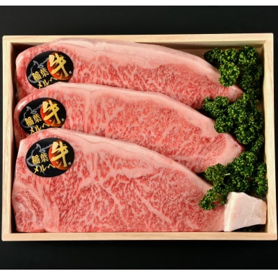 稲葉メルヘン牛(A5)サーロインステーキ(210g×3枚)【配送不可地域：離島・北海道・沖縄県・東北・中国・四国・九州】
