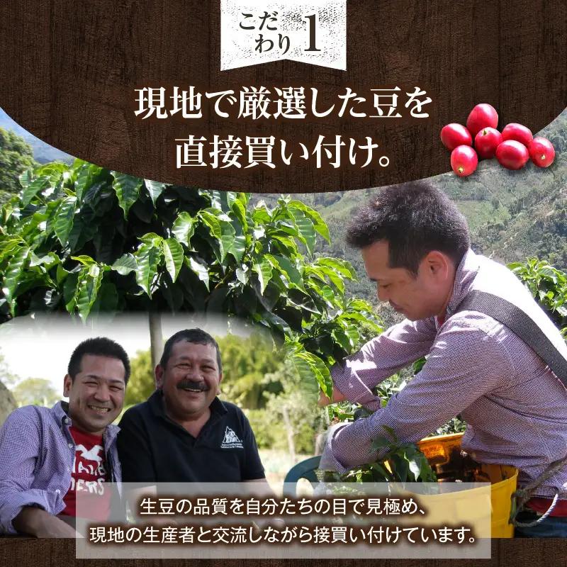 世界のスペシャルティコーヒー定期便(5ヶ月間) 粗挽き_08-061-1-2