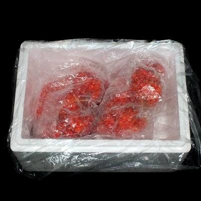 ふるさと納税 根室市 ＜12/21まで年内配送＞★ボイル花咲がに2尾(計約700g) G-42010 |  | 01