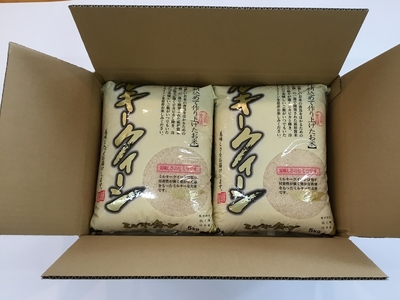 二瓶商店の会津産 ミルキークイーン 白米 5kg×2袋｜令和5年産 会津産 米 新米 白飯 お米 [0105]