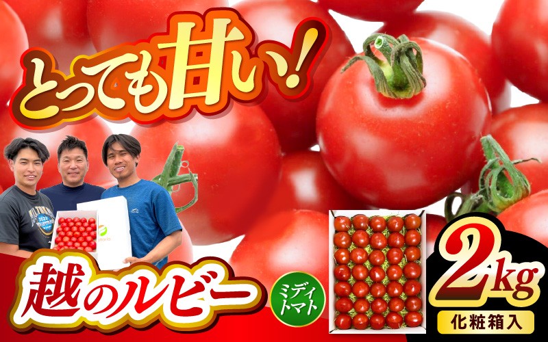 
                  【先行予約】坂井市砂丘地のとっても甘い フルーツトマト 越のルビー 2kg 化粧箱入り【2026年10月上旬以降順次発送予定】【トマト とまと ミディトマト リコピン 豊富 野菜 生野菜 甘い 高糖度  産地直送 ギフト 贈り物 贈答】 [A-19103]
                
