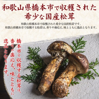 国産　天然高野松茸　約200g【配送不可地域：離島・北海道・沖縄県】