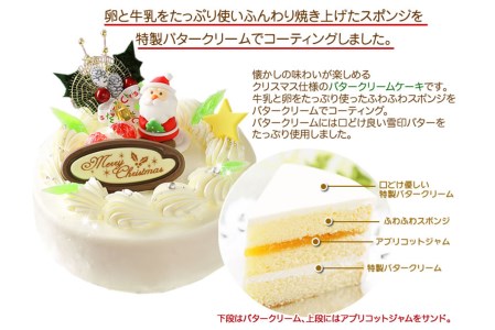 クリスマスケーキ 『クリスマスバター』 5号 懐かし バタークリームケーキ【お届け予定：12/20～12/24】冷凍発送 北海道 新ひだか町 クリスマスケーキ クリスマスケーキ クリスマスケーキ クリ