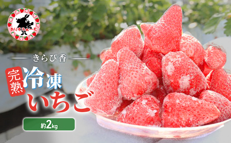 いちご きらぴ香 完熟冷凍 ありすふぁーむ 静岡県産 いちご【約2kg】【冷凍】