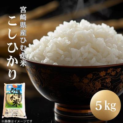 ふるさと納税 日向市 「ひむか米」コシヒカリ 5kg 精米 令和7年産　(日向市)